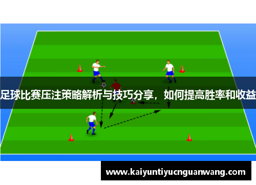 足球比赛压注策略解析与技巧分享，如何提高胜率和收益